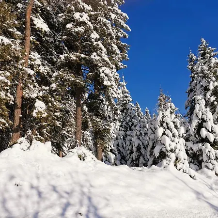 Gaestehaus Hebalm, Family & Friends Auf 900 M2 Wohnflaeche Erleben, Alleinnutzung Moeglich 4*