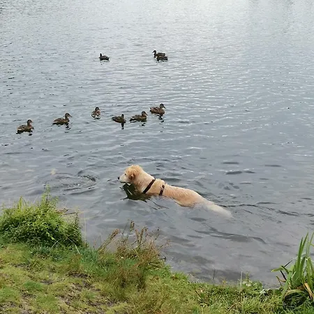 Gaestehaus Hebalm, Family & Friends Auf 900 M2 Wohnflaeche Erleben, Alleinnutzung Moeglich Penzion 4*