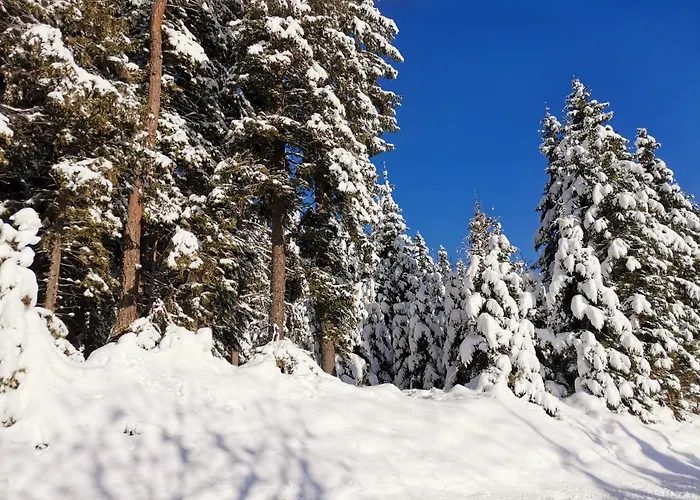 Gaestehaus Hebalm - 900 M2 Familien- & Gruppenhaus Zur Alleinnutzung 4*