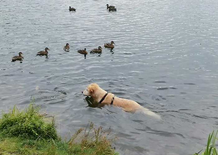 Gaestehaus Hebalm - 900 M2 Familien- & Gruppenhaus Zur Alleinnutzung 招待所 4*