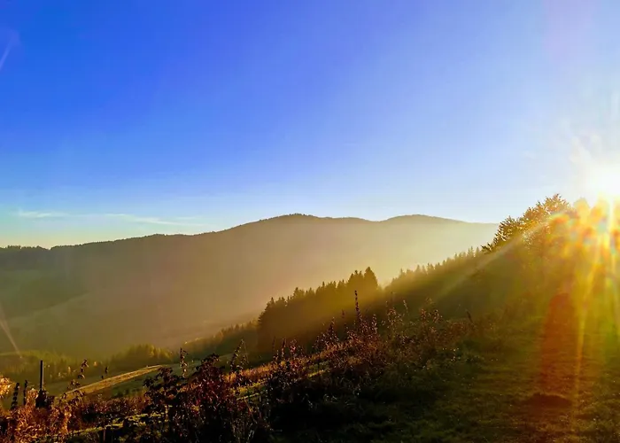 Guest house Gaestehaus Hebalm - 900 M2 Familien- & Gruppenhaus Zur Alleinnutzung